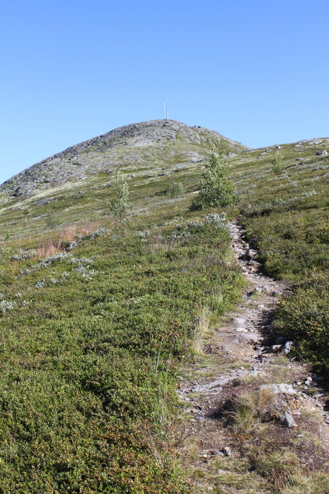Jotunheimen Feriesenter Vila Heidal Exterior foto